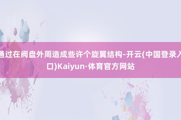 通过在阀盘外周造成些许个旋翼结构-开云(中国登录入口)Kaiyun·体育官方网站