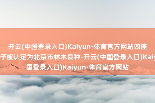 开云(中国登录入口)Kaiyun·体育官方网站四座楼栓皮栎母树林种子被认定为北京市林木良种-开云(中国登录入口)Kaiyun·体育官方网站