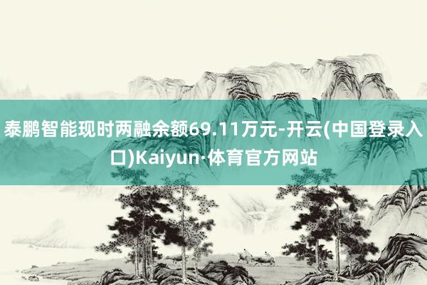 泰鹏智能现时两融余额69.11万元-开云(中国登录入口)Kaiyun·体育官方网站