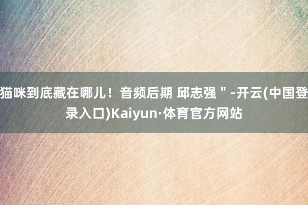 猫咪到底藏在哪儿！音频后期 邱志强＂-开云(中国登录入口)Kaiyun·体育官方网站