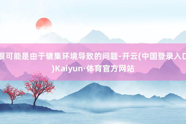 很可能是由于辘集环境导致的问题-开云(中国登录入口)Kaiyun·体育官方网站