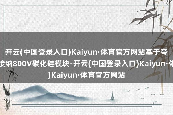 开云(中国登录入口)Kaiyun·体育官方网站基于夸克电驱时刻接纳800V碳化硅模块-开云(中国登录入口)Kaiyun·体育官方网站