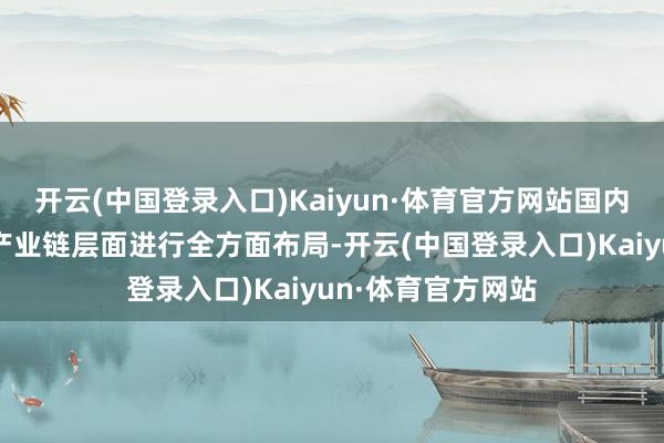 开云(中国登录入口)Kaiyun·体育官方网站国内锂电企业正在从产业链层面进行全方面布局-开云(中国登录入口)Kaiyun·体育官方网站