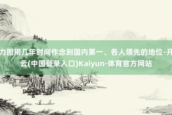 力图用几年时间作念到国内第一、各人领先的地位-开云(中国登录入口)Kaiyun·体育官方网站