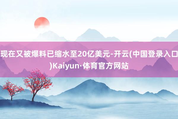 现在又被爆料已缩水至20亿美元-开云(中国登录入口)Kaiyun·体育官方网站