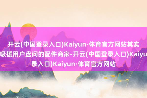 开云(中国登录入口)Kaiyun·体育官方网站其实皆是通过廉价来吸援用户盘问的配件商家-开云(中国登录入口)Kaiyun·体育官方网站