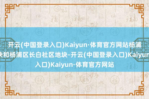 开云(中国登录入口)Kaiyun·体育官方网站杨浦区平凉社区地块和杨浦区长白社区地块-开云(中国登录入口)Kaiyun·体育官方网站