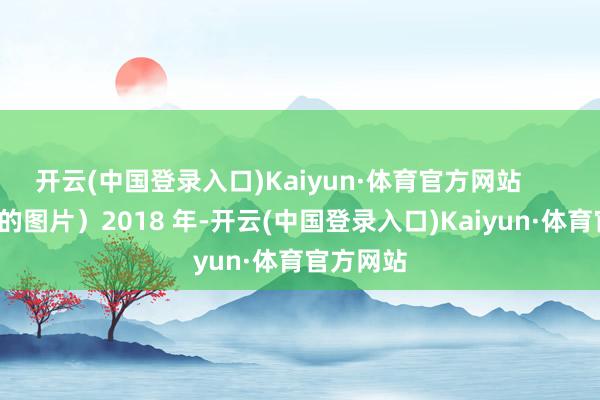 开云(中国登录入口)Kaiyun·体育官方网站        （透露的图片）2018 年-开云(中国登录入口)Kaiyun·体育官方网站