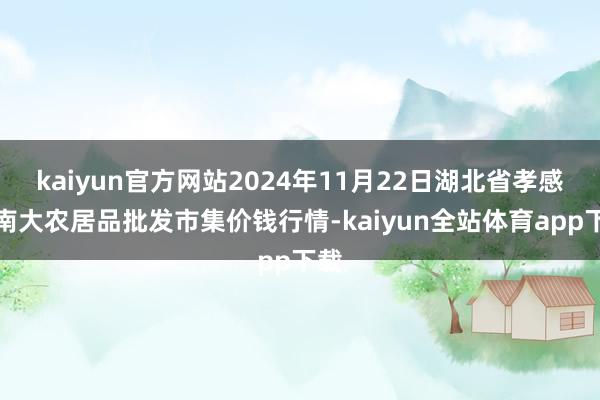 kaiyun官方网站2024年11月22日湖北省孝感市南大农居品批发市集价钱行情-kaiyun全站体育app下载