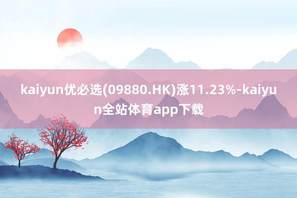 kaiyun优必选(09880.HK)涨11.23%-kaiyun全站体育app下载