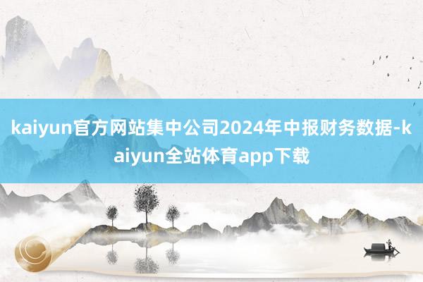 kaiyun官方网站集中公司2024年中报财务数据-kaiyun全站体育app下载