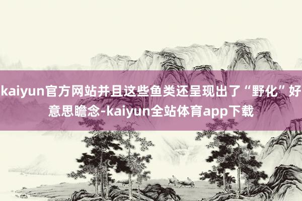 kaiyun官方网站并且这些鱼类还呈现出了“野化”好意思瞻念-kaiyun全站体育app下载